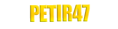 PETIR47